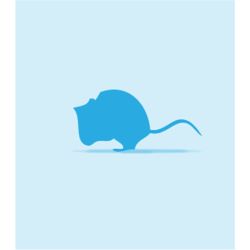 Monkfield Mouse Small 10-15g