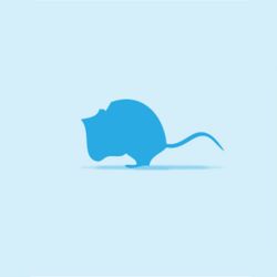 Monkfield Mouse, Crawler