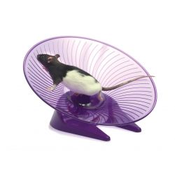 Small 'N' Furry Fly 'N' Saucer Wheel Large