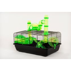Classic Landmark Cage Green