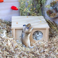Ancol Burrow & Squeak Wooden Hide