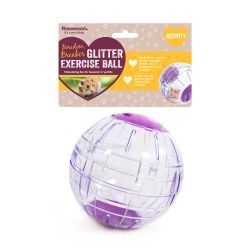 Rosewood Hamster Glitter Exercise Ball