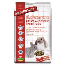 Mr Johnson's Advance Rabbit Junior