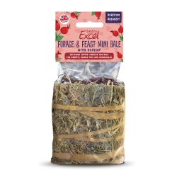 Burgess Excel Forage & Feast Mini Hay Bale Rosehip