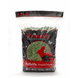 Friendly Alfalfa ReadiGrass