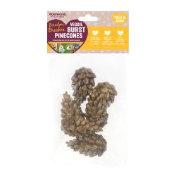 Rosewood Veggie Burst Nibble Pinecones