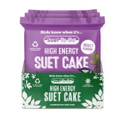 Suet To Go High Energy Suet Cake Insect