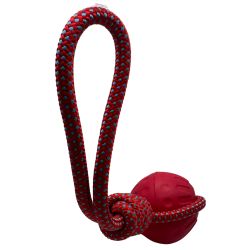 Aqua Dog Ball & Rope Toy Red