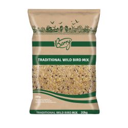 Berry Traditional Wild Bird