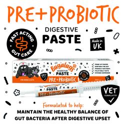 Bugalugs Digestive Pre + Probiotic Paste