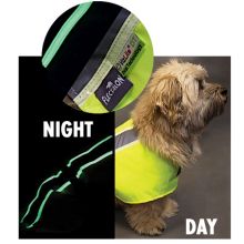 Flecta Vizlite DT Dog Coat