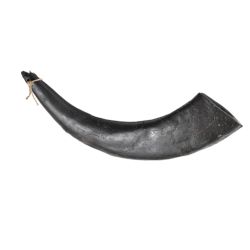 Hollings Buffalo Horn