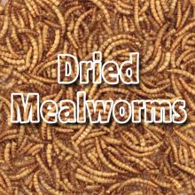 Supa Dried Mealworms