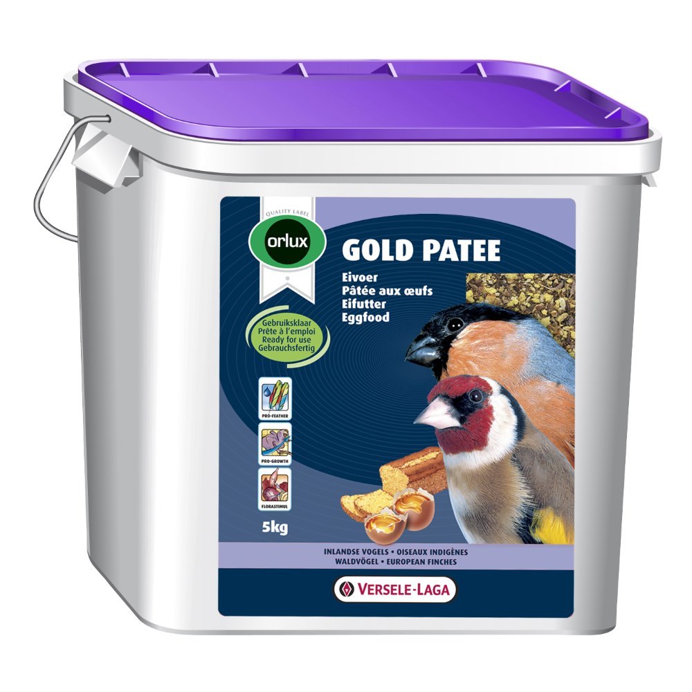 Versele Laga Orlux Gold Patee European Finches Orlux Soon Wings Of Nutribird