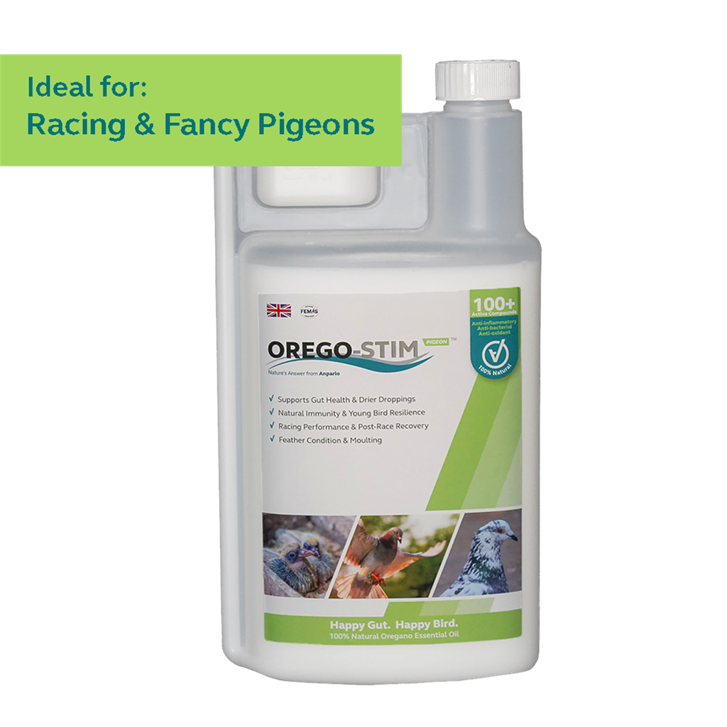 Orego-Stim (1L)