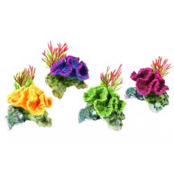 Classic Coral On Rocks Assorted