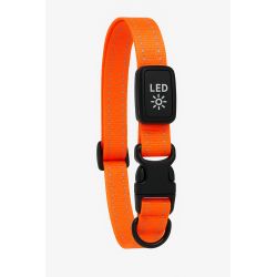 Kowloon PVC Flashing Collar Orange Medium/Large