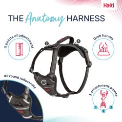 Halti Anatomy Harness Puppy Grey