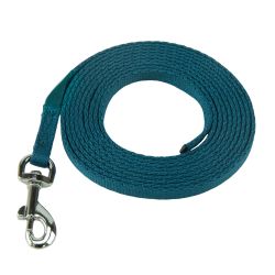 Coachi Puppy & Mini Teal Training Lead
