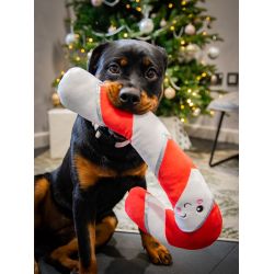 Rosewood Christmas Large Candy Cane