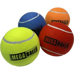Dog & Co Mega Tennisball Assorted