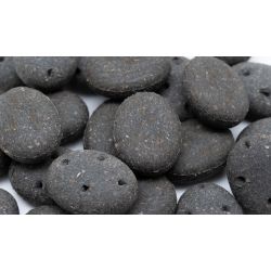 Pointer Cobs with Charcoal
