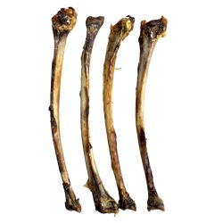 NAW Ostrich Wing Bone