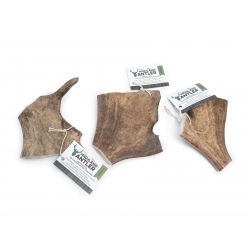Highland Antler Fallow Large