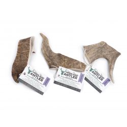 Highland Antler Fallow Medium