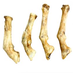Paddock Farm Goat Feet