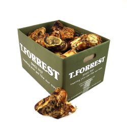 T. Forrest & Sons Roasted Bone Junior
