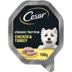 Cesar Classic Terrine Wet Dog Food with Chicken and Turkey