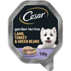 Cesar Garden Terrine Wet Dog Food with Juicy Lamb and Turkey and Green Beans in Loaf