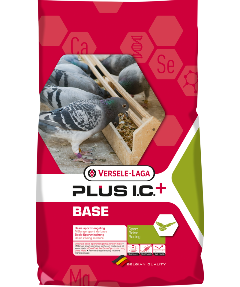 Versele Laga Base Plus I.C. + Racing Pigeon Feed