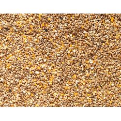 Johnston & Jeff Mixed Poultry Corn