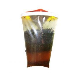 Redtop Fly Trap