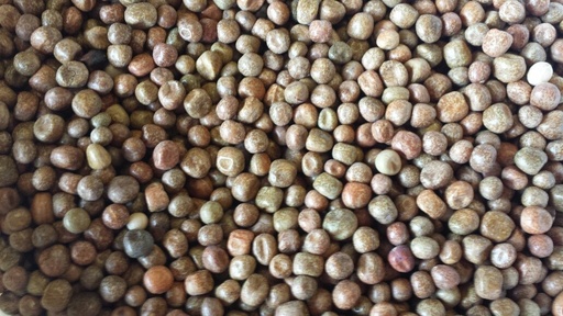 [STS065] Bjf Maple Peas