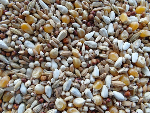 [BJF040] Bjf Diet Mix Pigeon Seed Mix