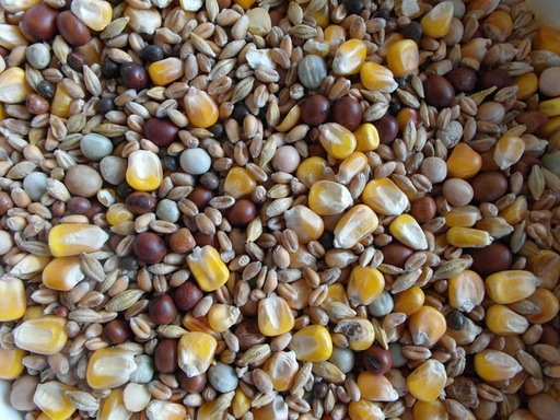 [BJF045] Bjf High Protein Economy Mix