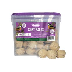 Suet To Go Suet Balls Insect (Reusable Suet Tub)