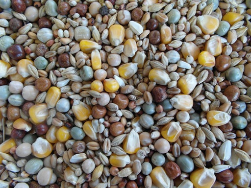 [BJF065] Bjf Moulting Pigeon Mix
