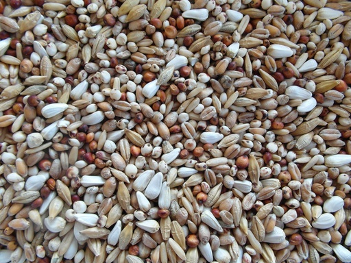 [BJF035] Bjf Gerry Pigeon Seed Mix