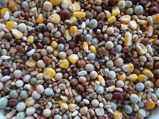 [BJF015] Bjf Breeding Pigeon Seed Mix