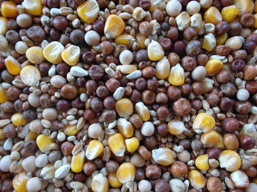 [BJF005] Bjf All Rounder Pigeon Seed Mix