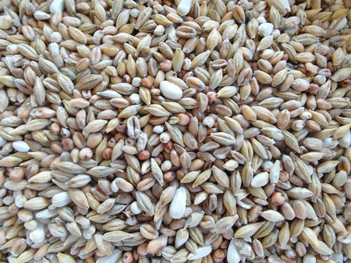 [BJF030] Bjf Depurative Pigeon Seed Mix