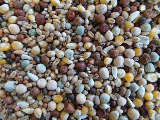 [BJF110] Bjf Young Bird Popcorn Pigeon Mix
