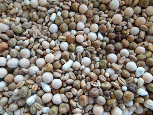 [BJF025] Bjf Conditioner Pigeon Seed Mix