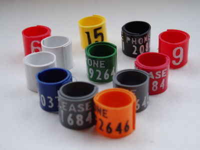 [av01] Racing Pigeon Coil Rings (Custom Made)