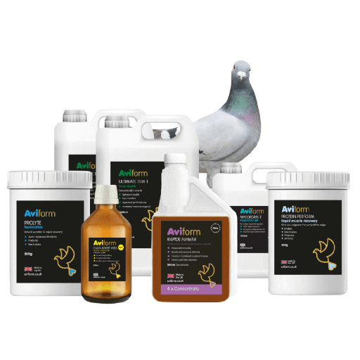Aviform Racing Pigeon Hyper Pack Six Products & 2 Pumps