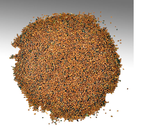 Tera Mira Or Tara Mera Seeds